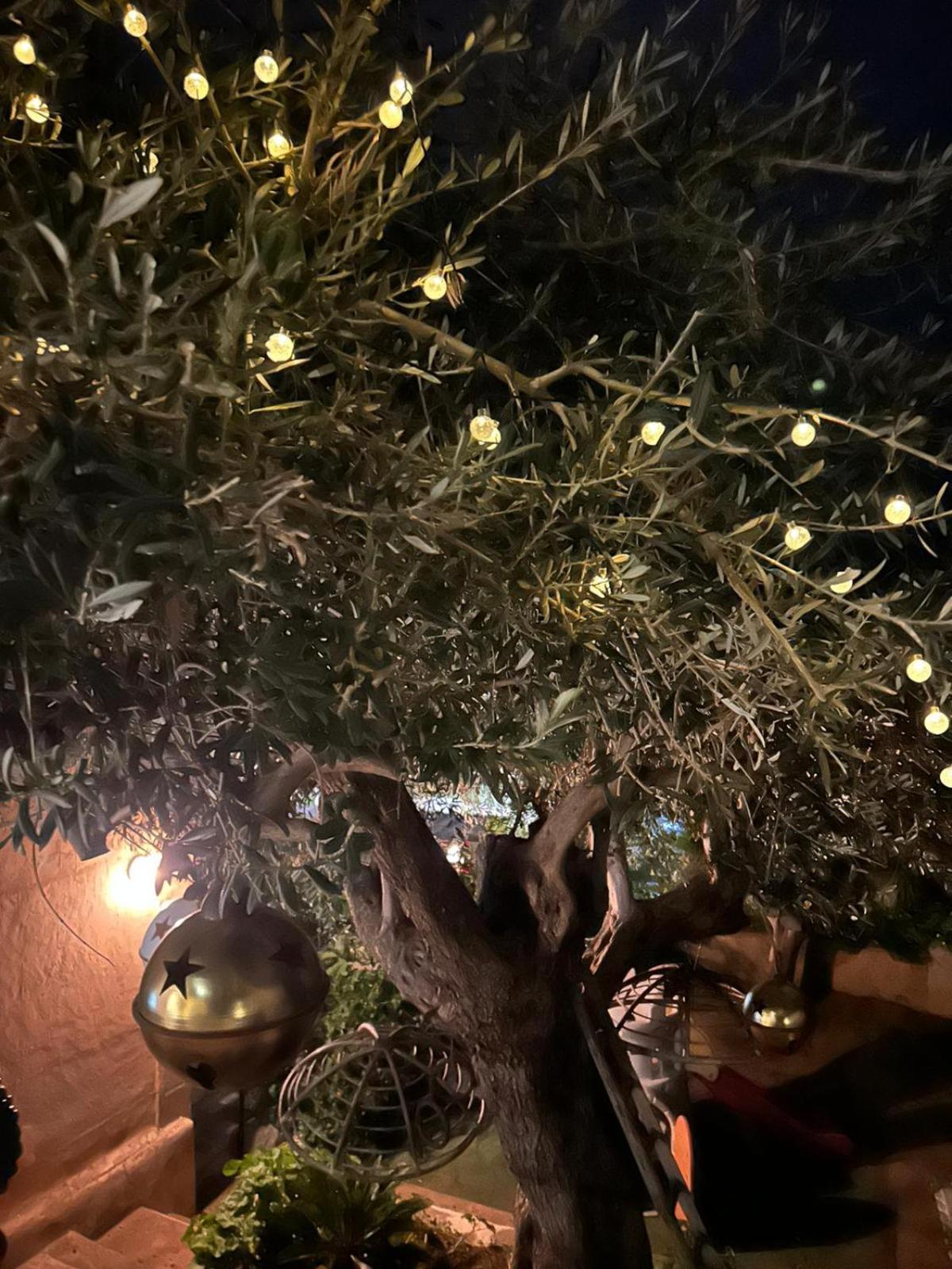 קסטלדאצ'ה Relais Dei Mori Home Palermo מראה חיצוני תמונה